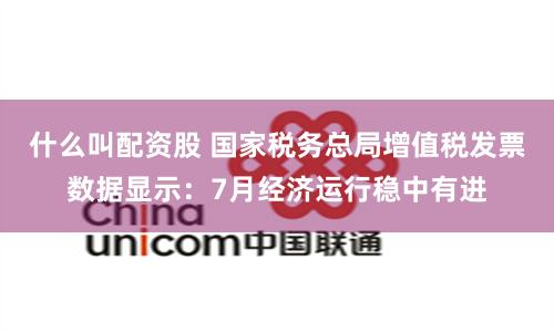 什么叫配资股 国家税务总局增值税发票数据显示：7月经济运行稳中有进
