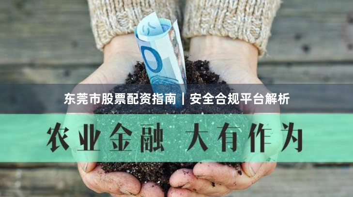 东莞市股票配资指南｜安全合规平台解析