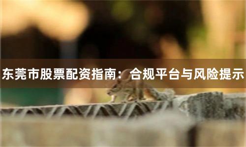东莞市股票配资指南：合规平台与风险提示